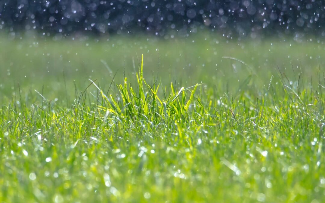 Étude de perméabilité du sol à Hyères : pour une infiltration optimale des eaux usées