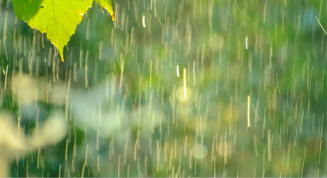 Gestion des eaux pluviales dans le Var : les enjeux écologiques