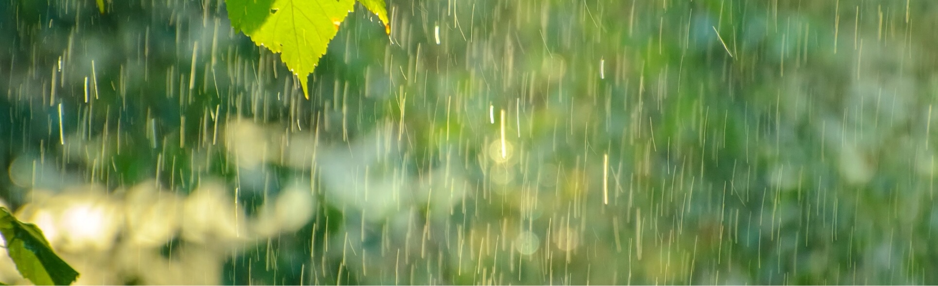 Gestion des eaux pluviales dans le Var